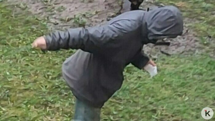 Днём Мишу часто видят бродящим по улице | Фото: Ирина