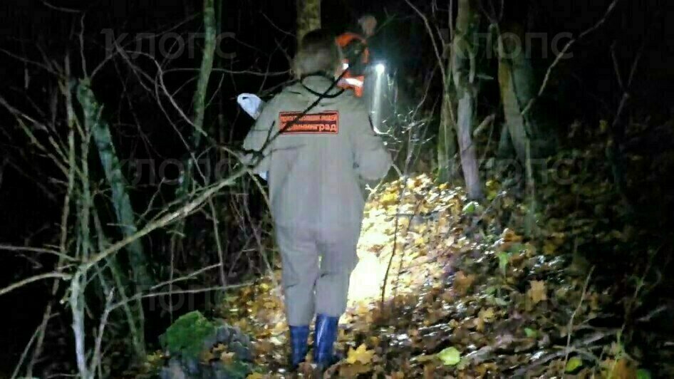 Поиски мужчины продолжаются днём и ночью | Фото: ПСО «Запад»