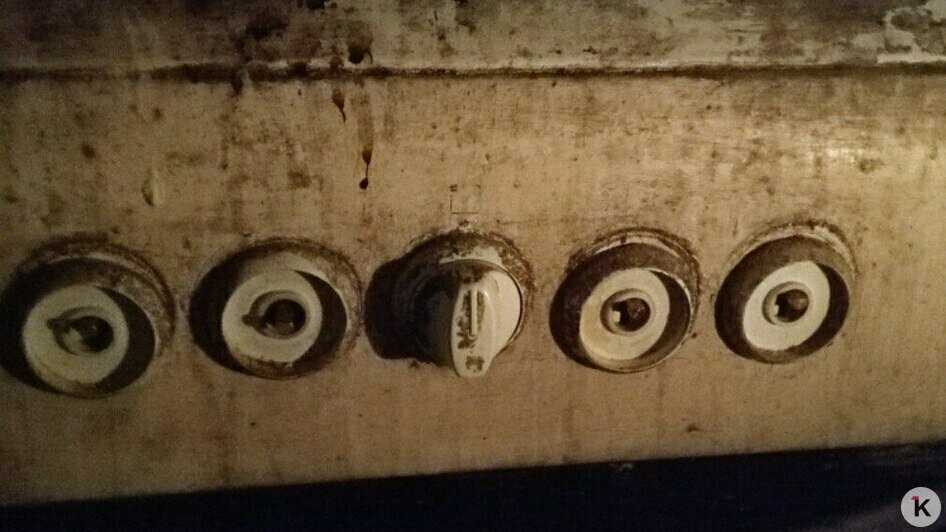 Заброшенный, грязный, голодный: заботу о беспомощном калининградце взяла на себя соседка   - Новости Калининграда | Фото: Ирина