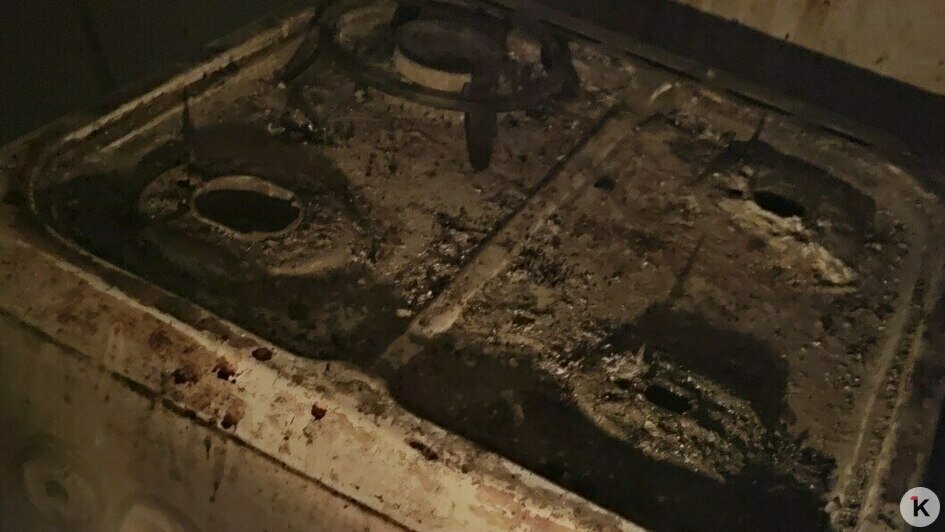 Заброшенный, грязный, голодный: заботу о беспомощном калининградце взяла на себя соседка   - Новости Калининграда | Фото: Ирина