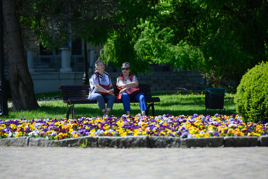 В этом году калининградцам старшего возраста предложили 140 проектов. | Фото: Александр Мелехов