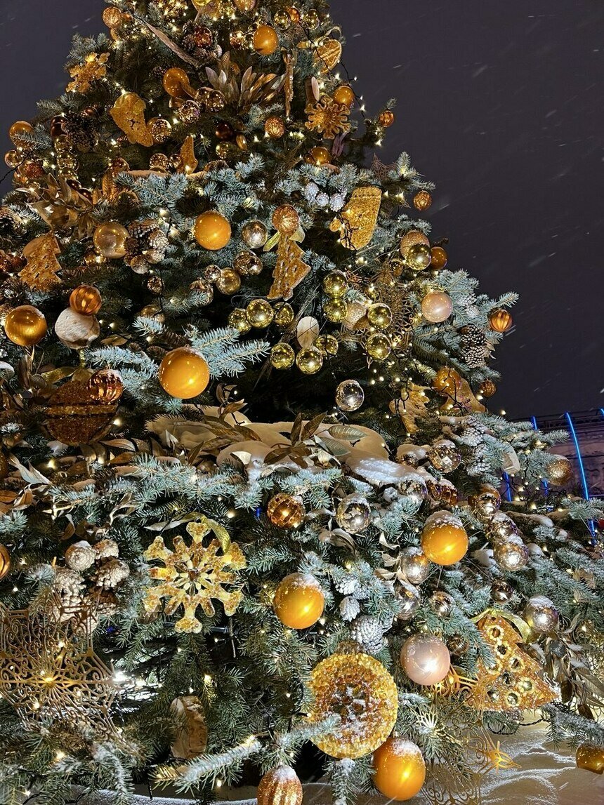 Пусть твой Калининград засияет так, как ты мечтаешь! (Положение о конкурсе) | Фото: архив «СК»