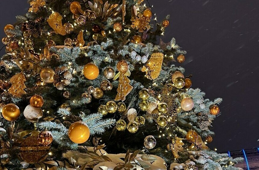 Пусть твой Калининград засияет так, как ты мечтаешь! (Положение о конкурсе) | Фото: архив «СК»