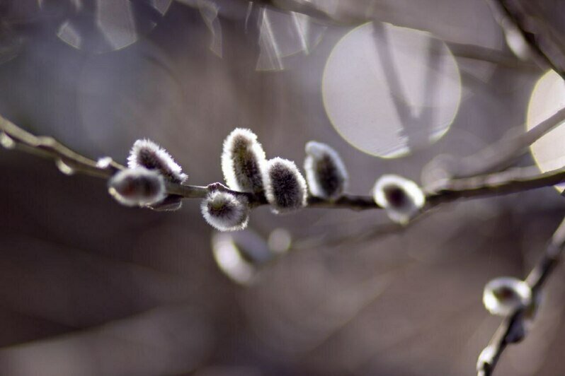 Работы мастера. | Фото: архив героя публикации