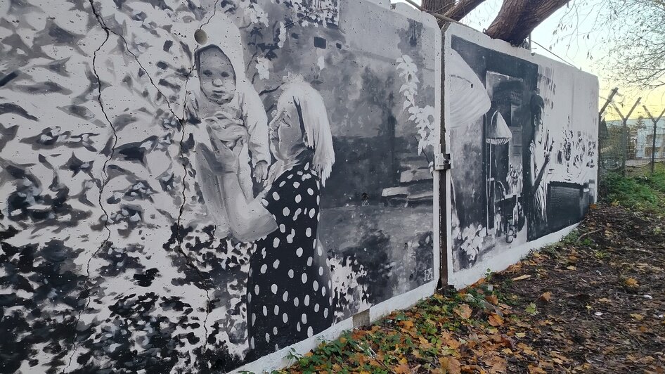 На бетонной стене кладбища на Камской появились портреты первых переселенцев (фото)   - Новости Калининграда | Фото: Евгений Малышев