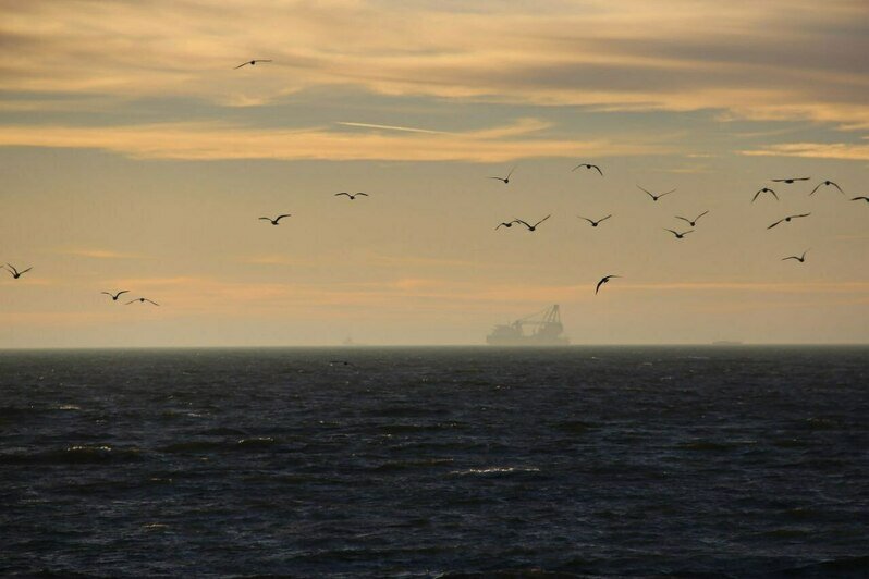 Работы мастера. | Фото: архив героя публикации