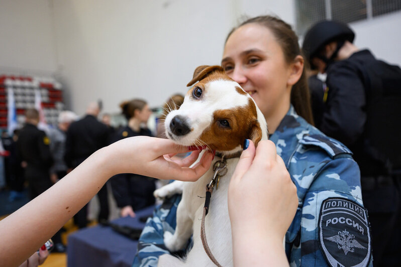 «PRO Образование-2025» в Калининграде: выставка, где школьники выбирают профессию будущего | Фото: Александр Мелехов