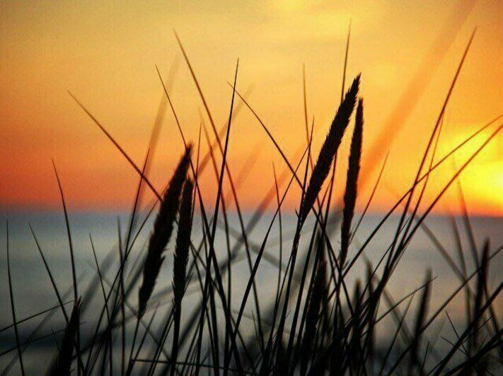 Работы мастера. | Фото: архив героя публикации