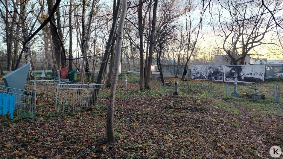 На бетонной стене кладбища на Камской появились портреты первых переселенцев (фото)   - Новости Калининграда | Фото: Евгений Малышев
