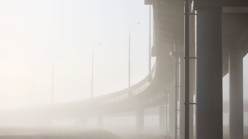 Туман в Калининградской области провисит всё утро понедельника - Новости Калининграда | Фото: Александр Подгорчук / Архив «Клопс»