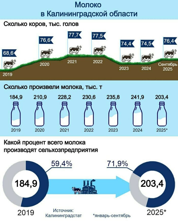 Калининградская область вошла в число молочных лидеров (инфографика) | Инфографика: Артем Пахоменко