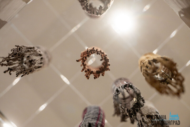 Экспонаты выставки. | Фото: Александр Мелехов