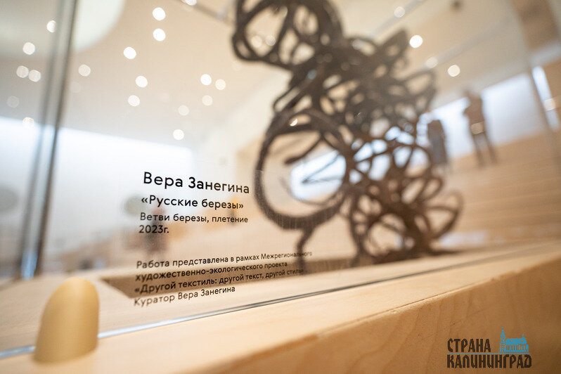 Современное искусство в атриуме: в калининградской Третьяковке открылась выставка «Другой текстиль» | Фото: Александр Мелехов