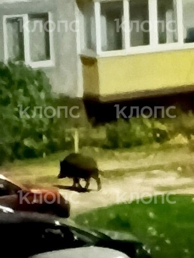 Снимки сделаны 5 ноября в 4:30 утра. | Фото: Ольга