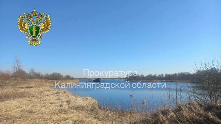 Суд вернул государству береговую полосу реки Гурьевка, которая незаконно попала в частные руки - Новости Калининграда | Фото: прокуратура Калининградской области