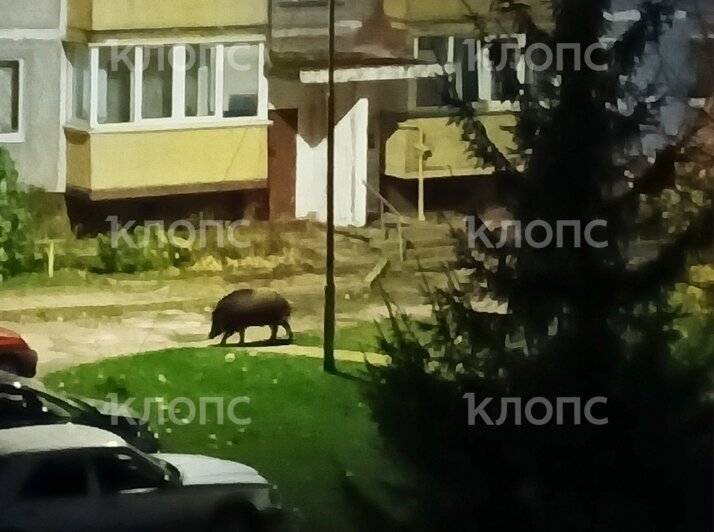 Снимки сделаны 5 ноября в 4:30 утра. | Фото: Ольга