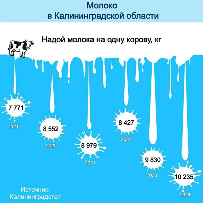 Калининградская область вошла в число молочных лидеров (инфографика) | Инфографика: Артем Пахоменко