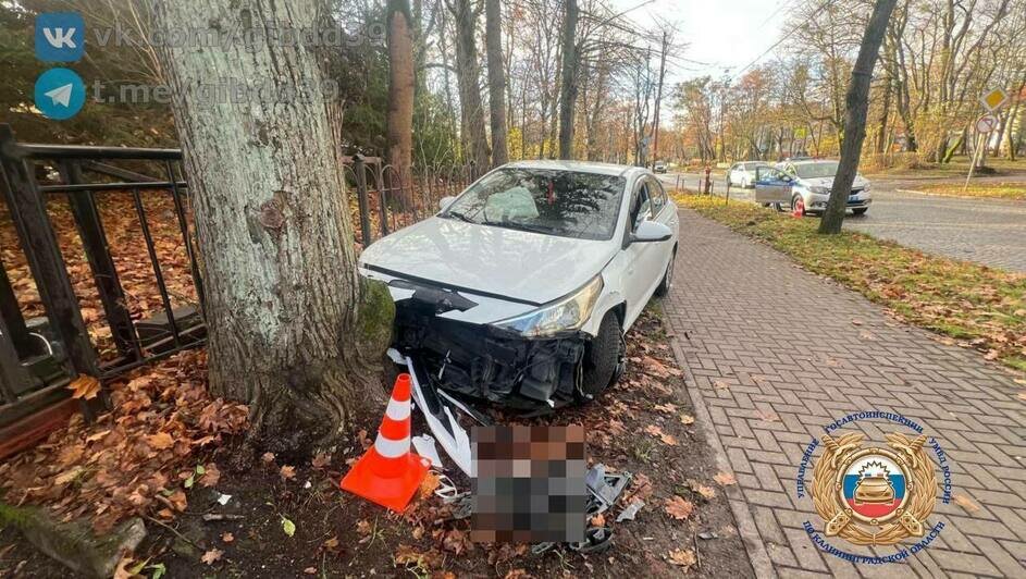 В Калининграде водитель такси вылетела на тротуар и врезалась в дерево (видео) - Новости Калининграда | Фото: Госавтоинспекция Калининградской области