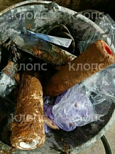 В Немане несколько дней из кранов идёт ржавая вода (видео)   - Новости Калининграда