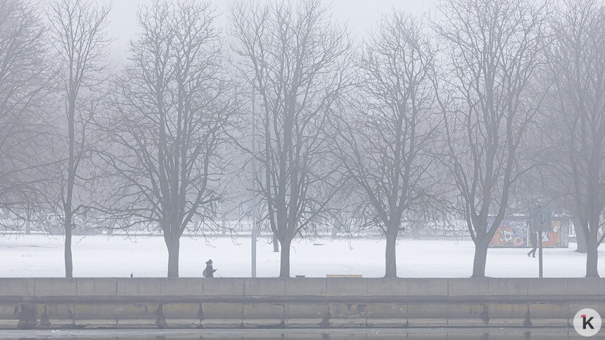 Выпадет снег: погода в Калининграде и области в воскресенье - Новости Калининграда | Фото: Александр Подгорчук / «Клопс»