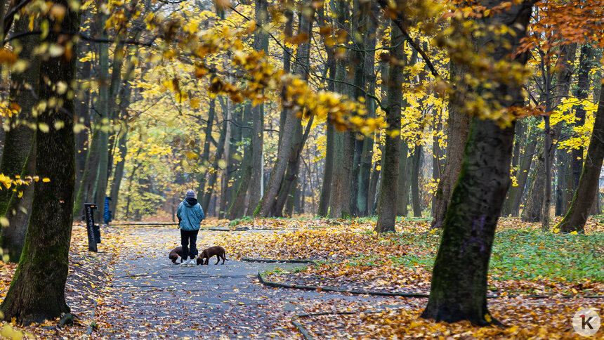 Синоптики предупредили о похолодании в Калининградской области в субботу, 15 ноября  - Новости Калининграда | Фото: Александр Подгорчук / Архив «Клопс»