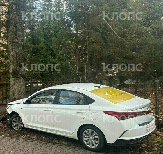 В Калининграде водитель такси вылетела на тротуар и врезалась в дерево (видео) - Новости Калининграда | Фото: очевидец
