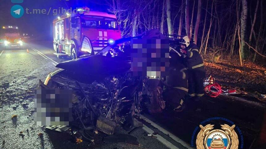 В Зеленоградском районе водитель, лишённый прав, не справился с управлением и врезался в дерево - Новости Калининграда | Фото: ГАИ