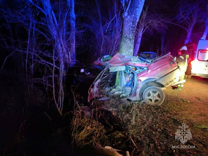 В Озёрском округе водитель автомобиля врезался в дерево, два человека погибло на месте - Новости Калининграда | Фото: МЧС