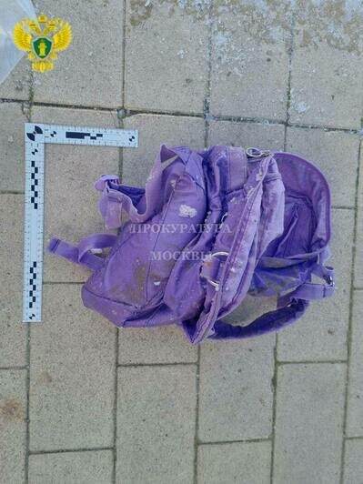 В пруду в Москве нашли голову ребёнка   - Новости Калининграда | Фото: прокуратура Москвы