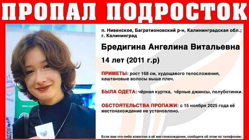 В Багратионовском районе в посёлке Нивенское пропала 14-летняя девушка - Новости Калининграда | Фото: ПСО &quot;Запад&quot;