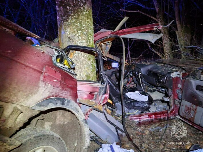 В Озёрском округе водитель автомобиля врезался в дерево, два человека погибло на месте - Новости Калининграда | Фото: МЧС