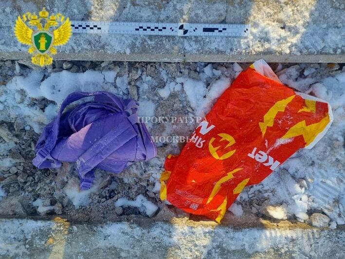 В пруду в Москве нашли голову ребёнка   - Новости Калининграда | Фото: прокуратура Москвы