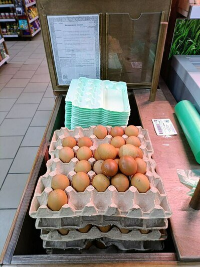 Что почём в Калининграде: ноябрьский обзор цен на продукты в супермаркетах (таблица)   - Новости Калининграда | Фото: «Клопс»