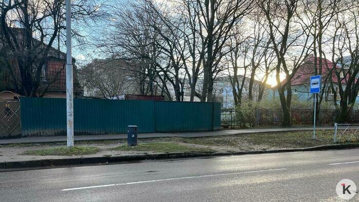 В Калининграде водитель маршрутки справил нужду за остановкой  - Новости Калининграда | Фото: «Клопс»