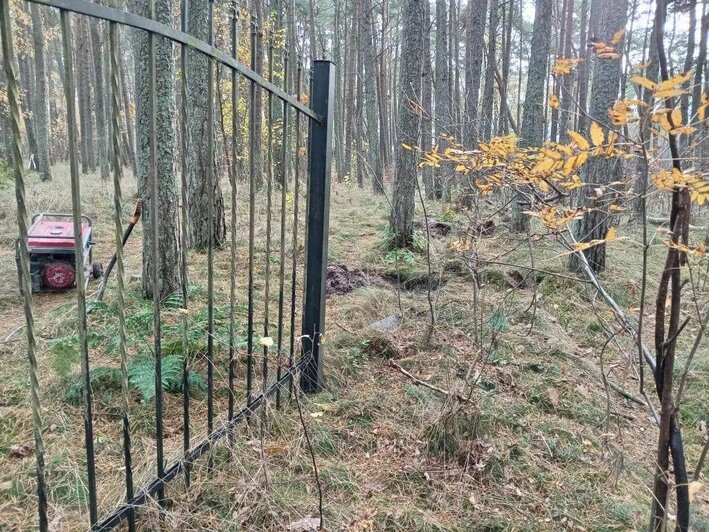 Национальный парк «Куршская коса» увеличился в размерах за счёт трёх участков на берегу залива  - Новости Калининграда | Фото: телеграм-канал директора национального парка «Куршская коса» Анатолия Калины