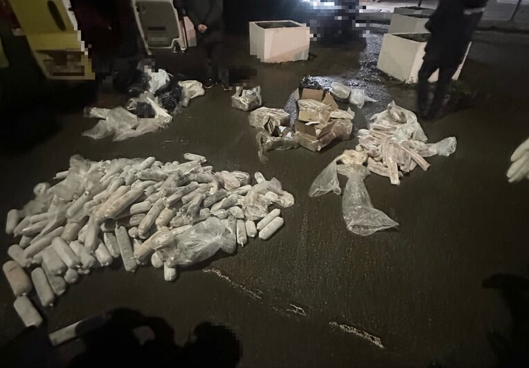 Трое работников калининградской рыболовецкой компании попытались умыкнуть 217 кг скумбрии и селёдки  - Новости Калининграда | Фото: Западное ЛУ МВД России на транспорте