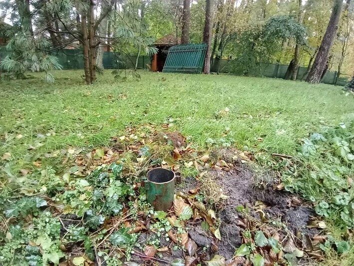 Национальный парк «Куршская коса» увеличился в размерах за счёт трёх участков на берегу залива  - Новости Калининграда | Фото: телеграм-канал директора национального парка «Куршская коса» Анатолия Калины