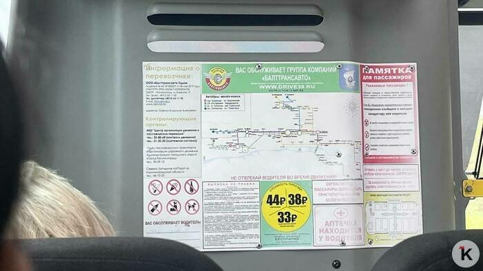 В Калининграде водитель маршрутки справил нужду за остановкой  - Новости Калининграда | Фото: «Клопс»