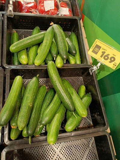 Что почём в Калининграде: ноябрьский обзор цен на продукты в супермаркетах (таблица)   - Новости Калининграда | Фото: «Клопс»