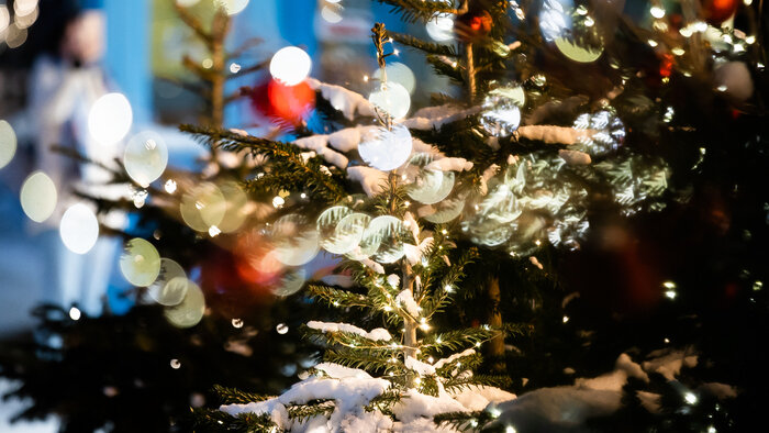 В мэрии Калининграда рассказали, когда на площади Победы поставят новую ёлку с золотым шатром (эскиз)   - Новости Калининграда | Фото: архив «Клопс»