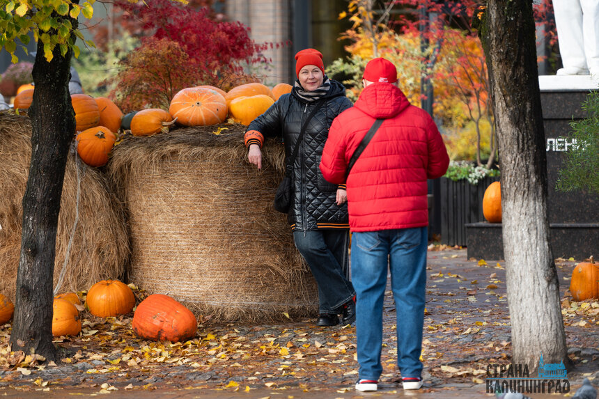 В Зеленоградске в любое время года много туристов. | Фото: Александр Мелехов