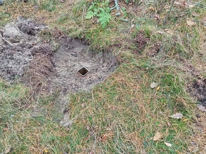 Национальный парк «Куршская коса» увеличился в размерах за счёт трёх участков на берегу залива  - Новости Калининграда | Фото: телеграм-канал директора национального парка «Куршская коса» Анатолия Калины