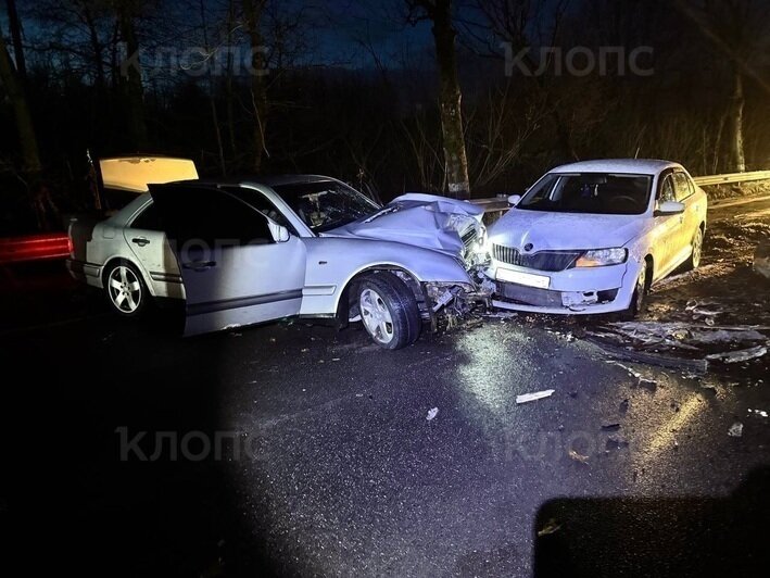В Калининграде сбитое легковушкой дерево упало на дорогу, в препятствие врезалась машина доставки (фото) - Новости Калининграда | Фото очевидцев