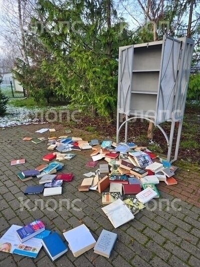 В посёлке под Гурьевском вандал разгромил мемориальный комплекс, посвящённый памяти советских солдат (фото)   - Новости Калининграда | Фото: Анна Сиротина 