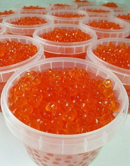 Где в Калининграде купить настоящую красную икру по вкусной цене к Новому году - Новости Калининграда