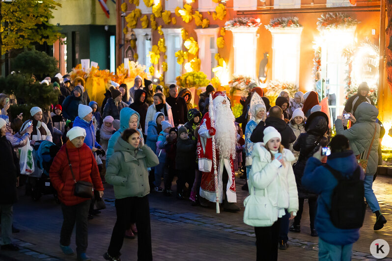 В Зеленоградске парад в честь Деда Мороза собрал толпы зрителей (фоторепортаж) - Новости Калининграда | Фото: Александр Подгорчук / «Клопс»