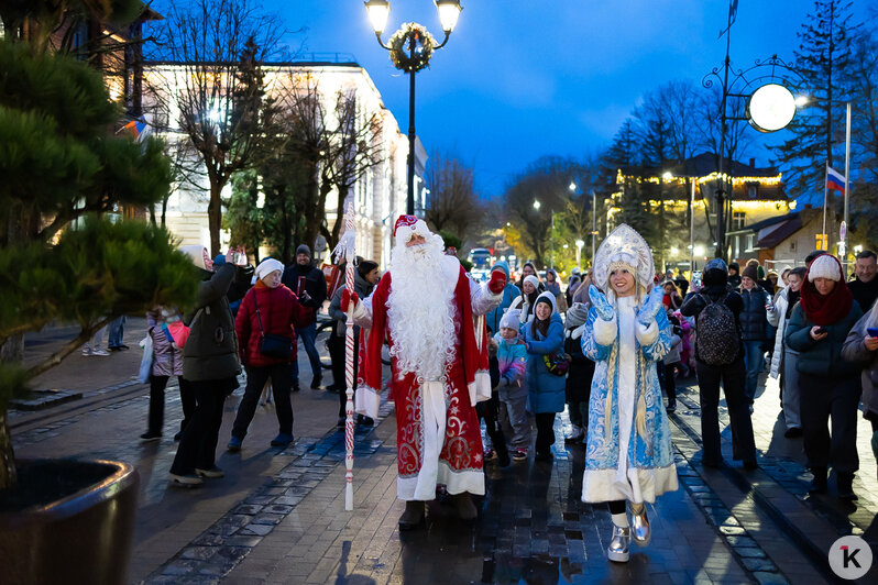 В Зеленоградске парад в честь Деда Мороза собрал толпы зрителей (фоторепортаж) - Новости Калининграда | Фото: Александр Подгорчук / «Клопс»