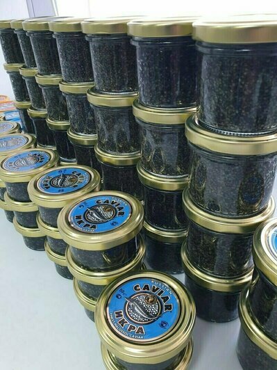 Где в Калининграде купить настоящую красную икру по вкусной цене к Новому году - Новости Калининграда
