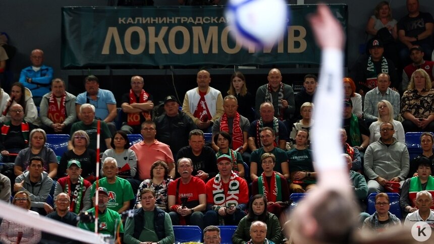 Лучшие волейбольные клубы России сыграют в Калининграде за Суперкубок - Новости Калининграда | Фото: Александр Подгорчук / Архив «Клопс»