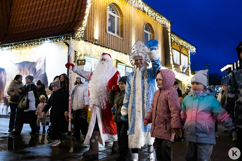В Зеленоградске парад в честь Деда Мороза собрал толпы зрителей (фоторепортаж) - Новости Калининграда | Фото: Александр Подгорчук / «Клопс»